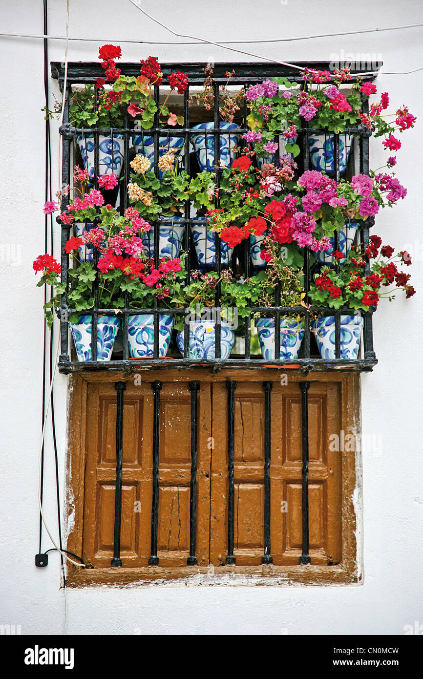 Europa Spanien Andalusien Granada Fenster mit Blumen Stockfoto