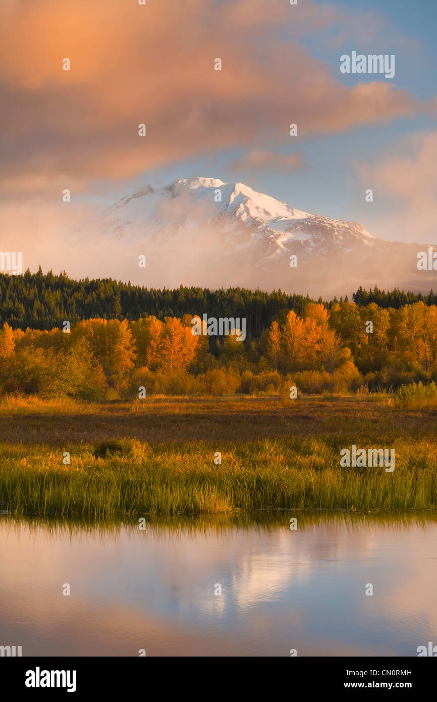 Sunrise und Reflexion des Mount Adams in der Nähe von Trout Lake, Washington. USA. Herbst Stockfoto