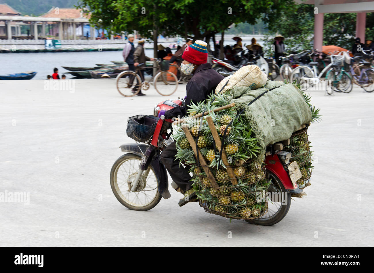 Motorrad Transport von Ananas in Tam Quoc Vietnam Stockfoto