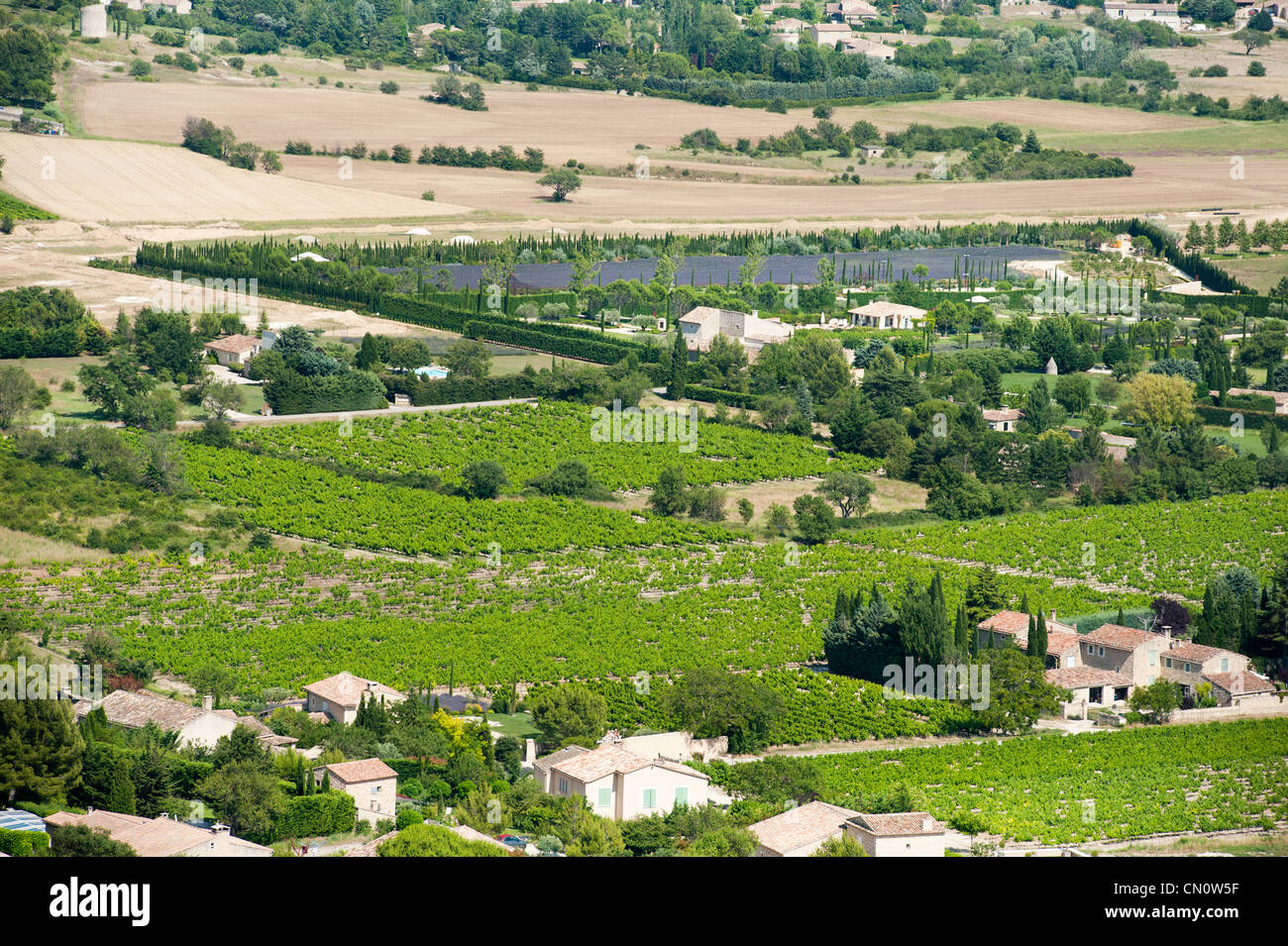 Weingut im französischen Landschaft in der Nähe von Gordes Stockfoto