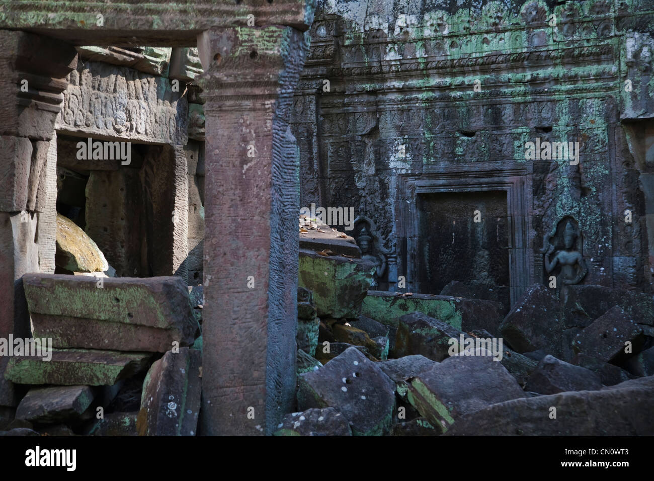 Ta Prohm Ruinen, UNESCO-Weltkulturerbe, Angkor, Kambodscha Stockfoto