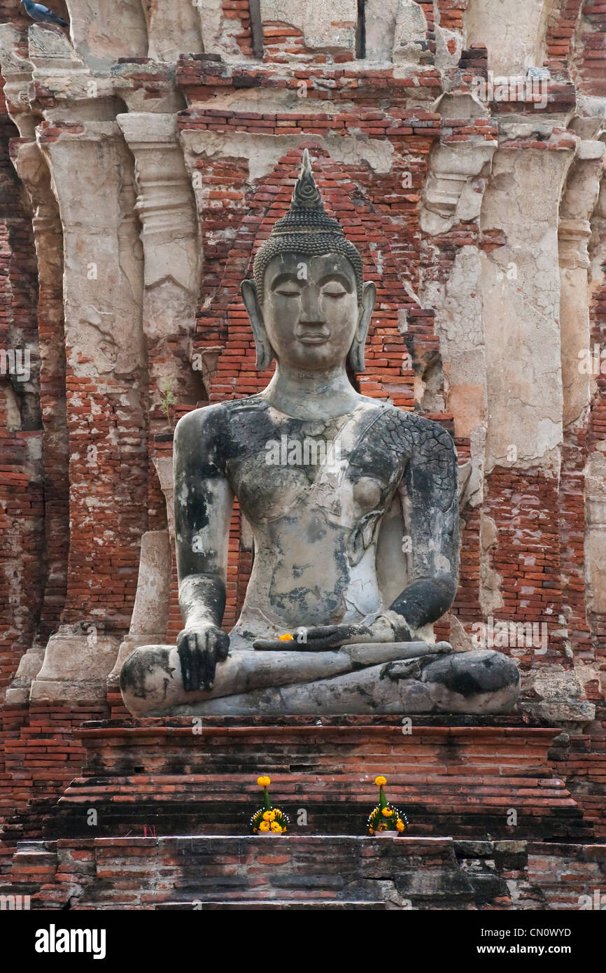 Buddhistische Statuen im Wat Chaiwatthanaram, Ayutthaya Historical Park, UNESCO-Weltkulturerbe, Thailand Stockfoto