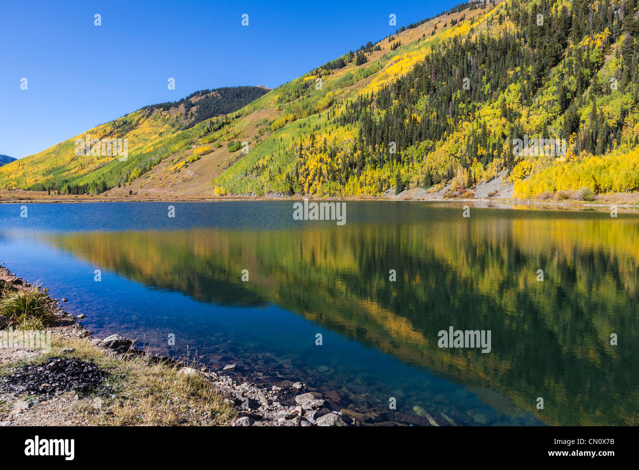 Reflexionen der Herbst Farbe an Red Mountain Creek und den See entlang der Million Dollar Highway (US 550) in Colorado. Stockfoto