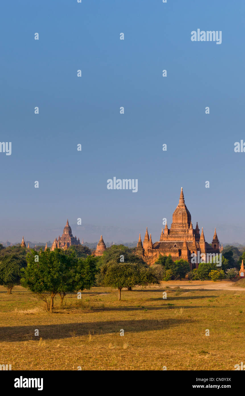 Tempel, Bagan, Myanmar Stockfoto