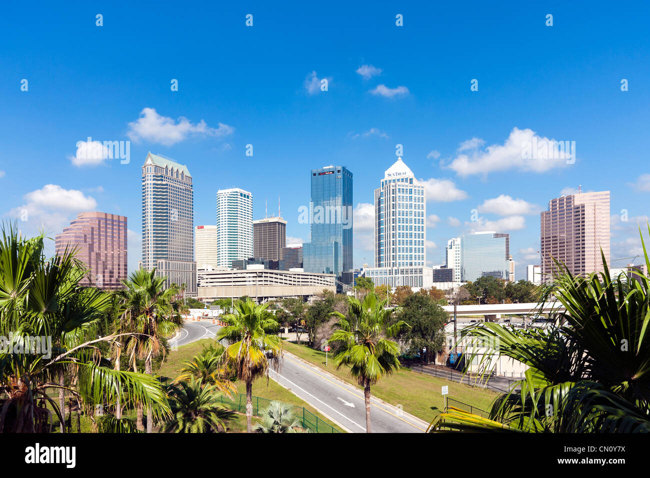 Skyline von Downtown Tampa Florida Stadtbild mit Palmen Stockfoto