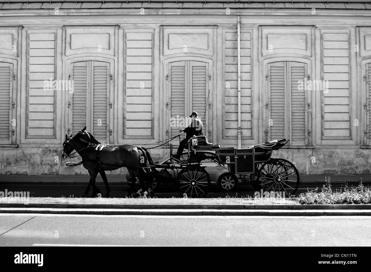 Pferd, Kutsche und Fiaker in Wien, Österreich Stockfoto