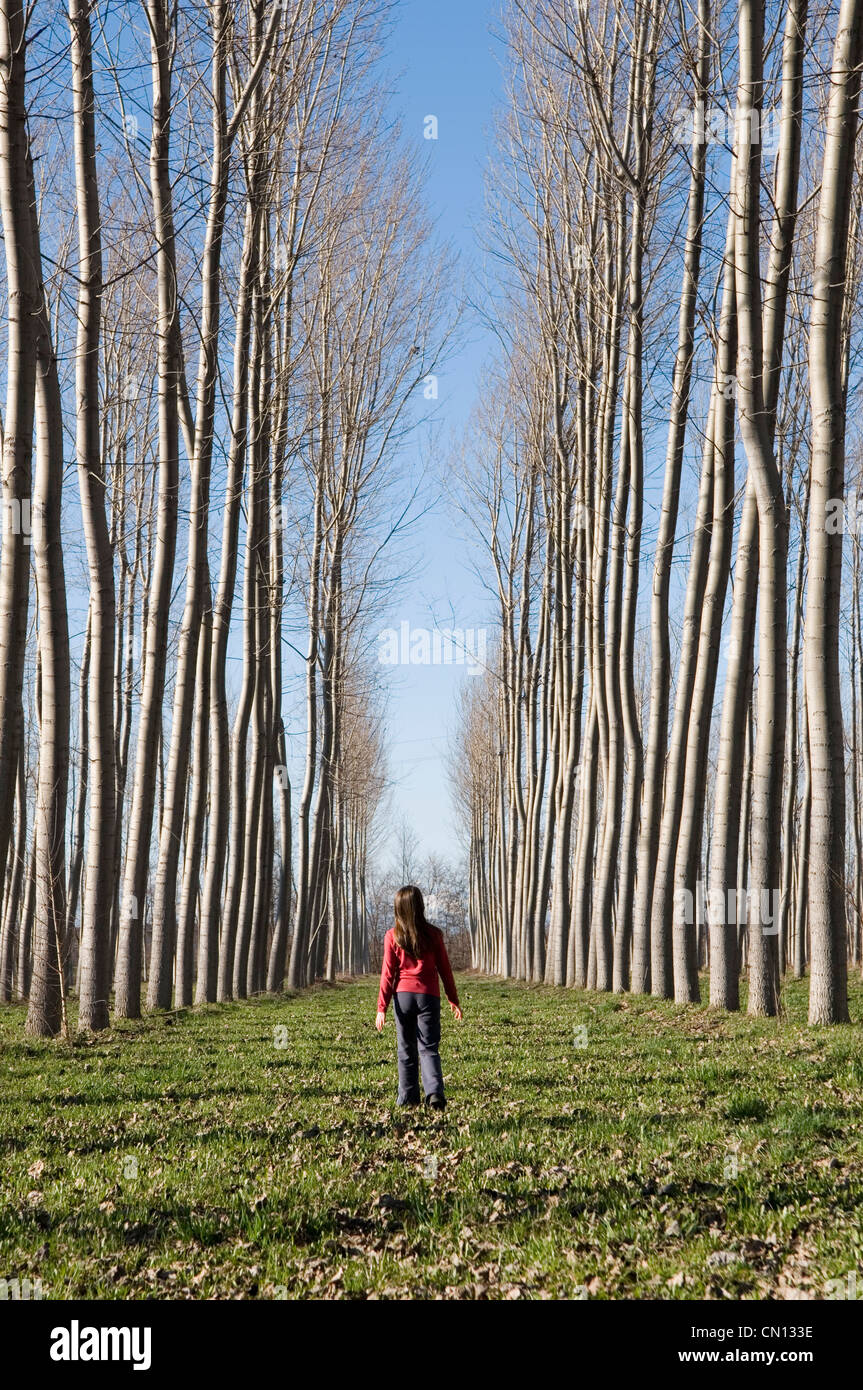 Junges Mädchen zu Fuß unter hohen Bäumen Stockfoto