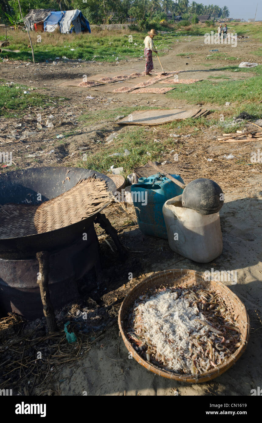 Kochen und Trocknen von Garnelen in Dorf von lag Win Kwin Fischerdorf. Irrawaddy-Delta. Myanmar. Stockfoto