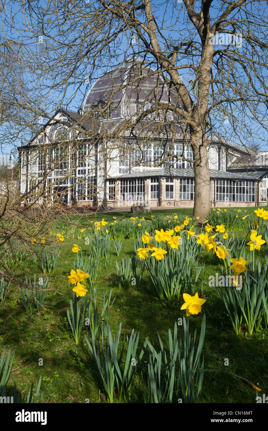 Buxton Pavilion Gardens, Buxton, Derbyshire, England, Vereinigtes Königreich Stockfoto