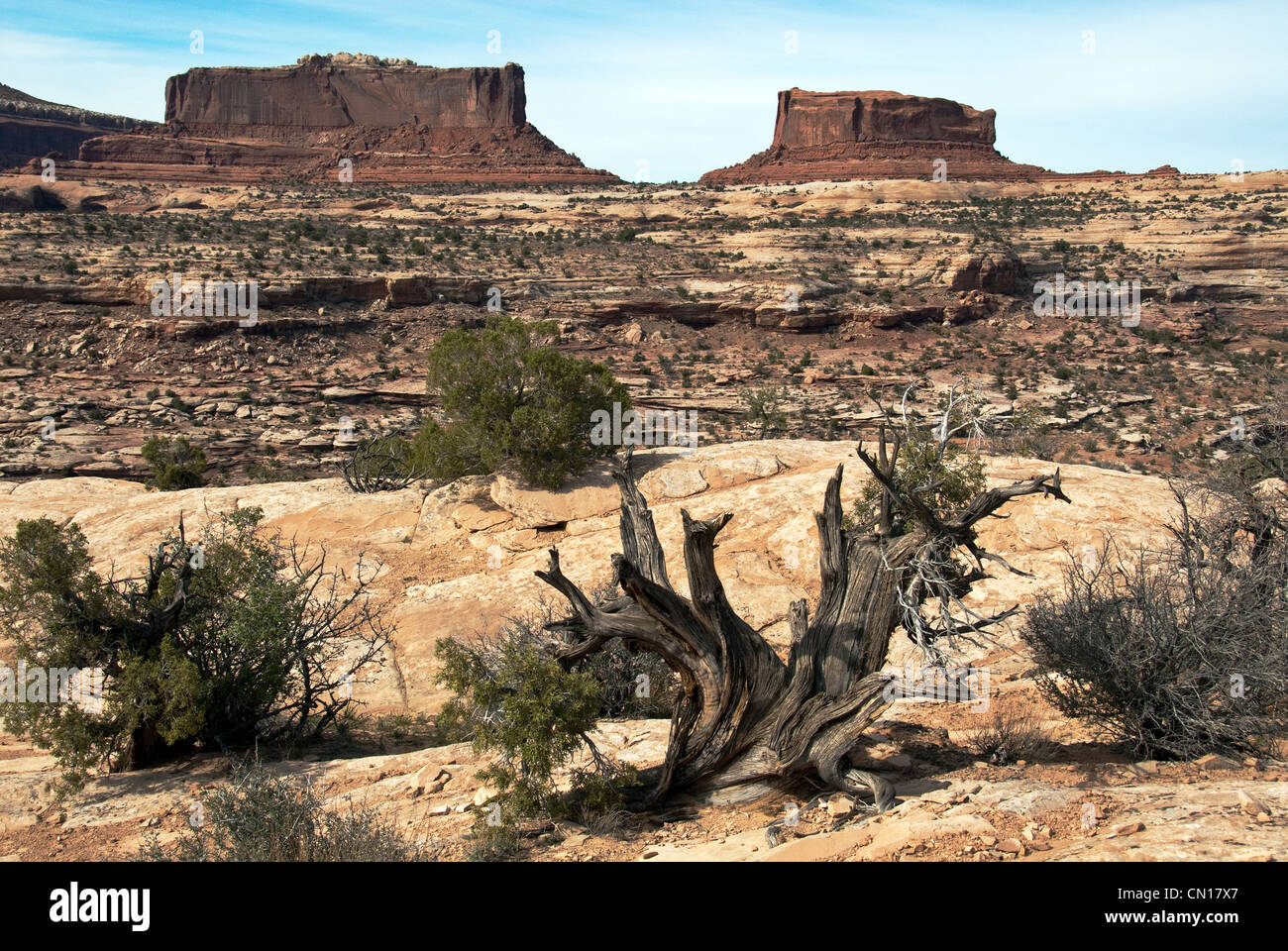 Monitor und Merrimac Buttes Grand County Utah-USA Stockfoto