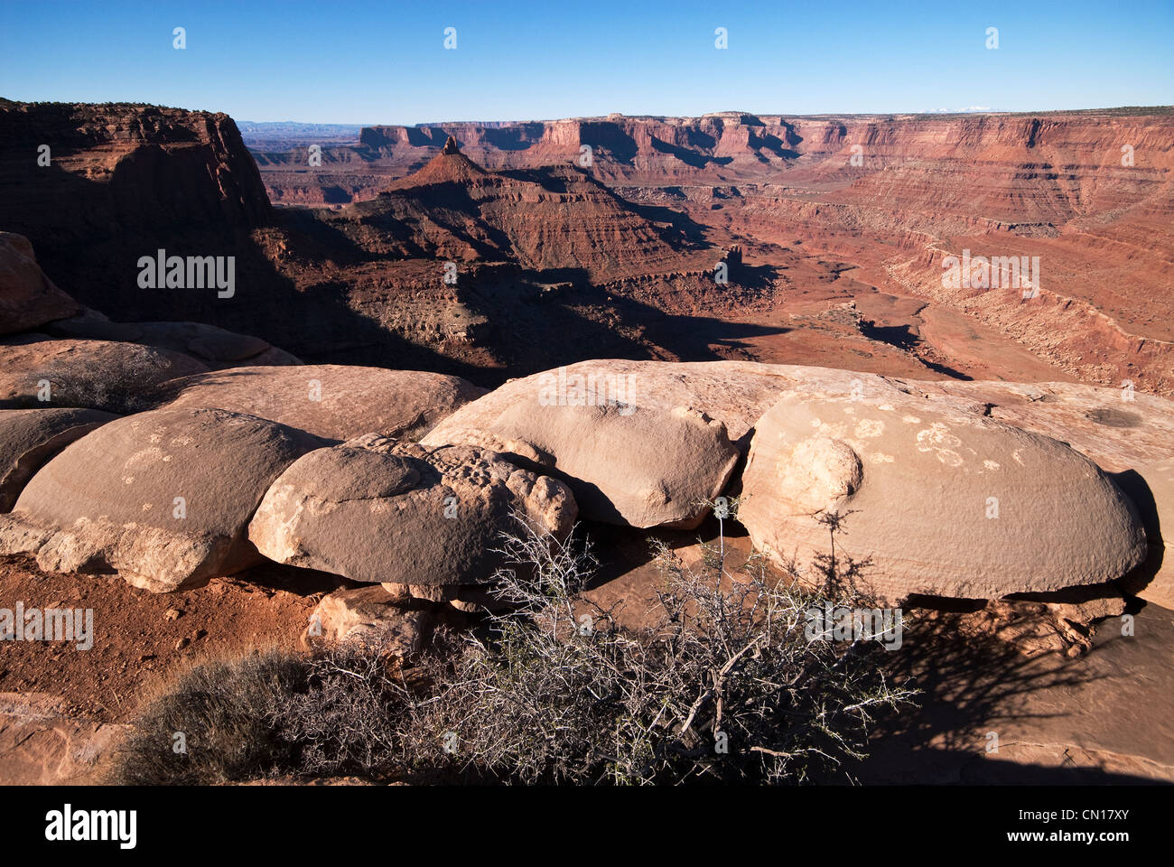 RIM Ansicht Szenen Dead Horse Point State Park Utah USA Stockfoto