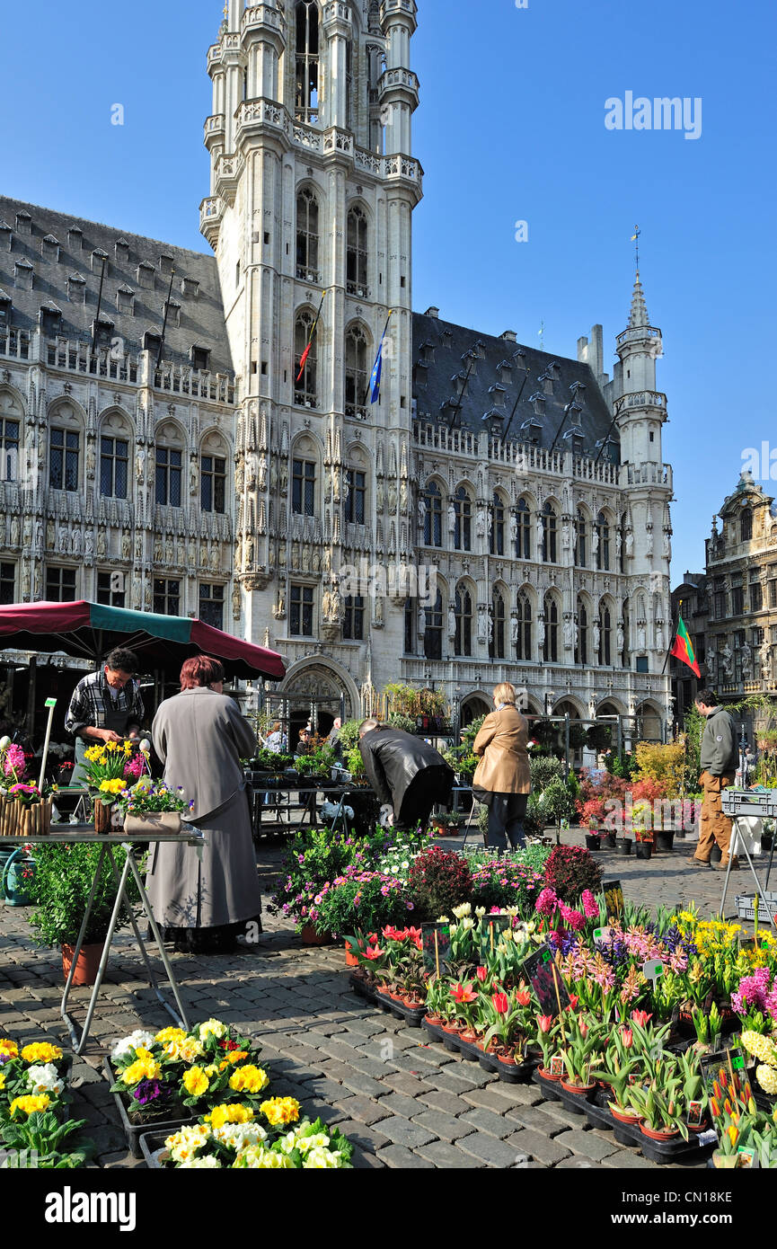 Blume Stand vor dem Brüsseler Rathaus am Grand Place / Grote Markt, Belgien Stockfoto
