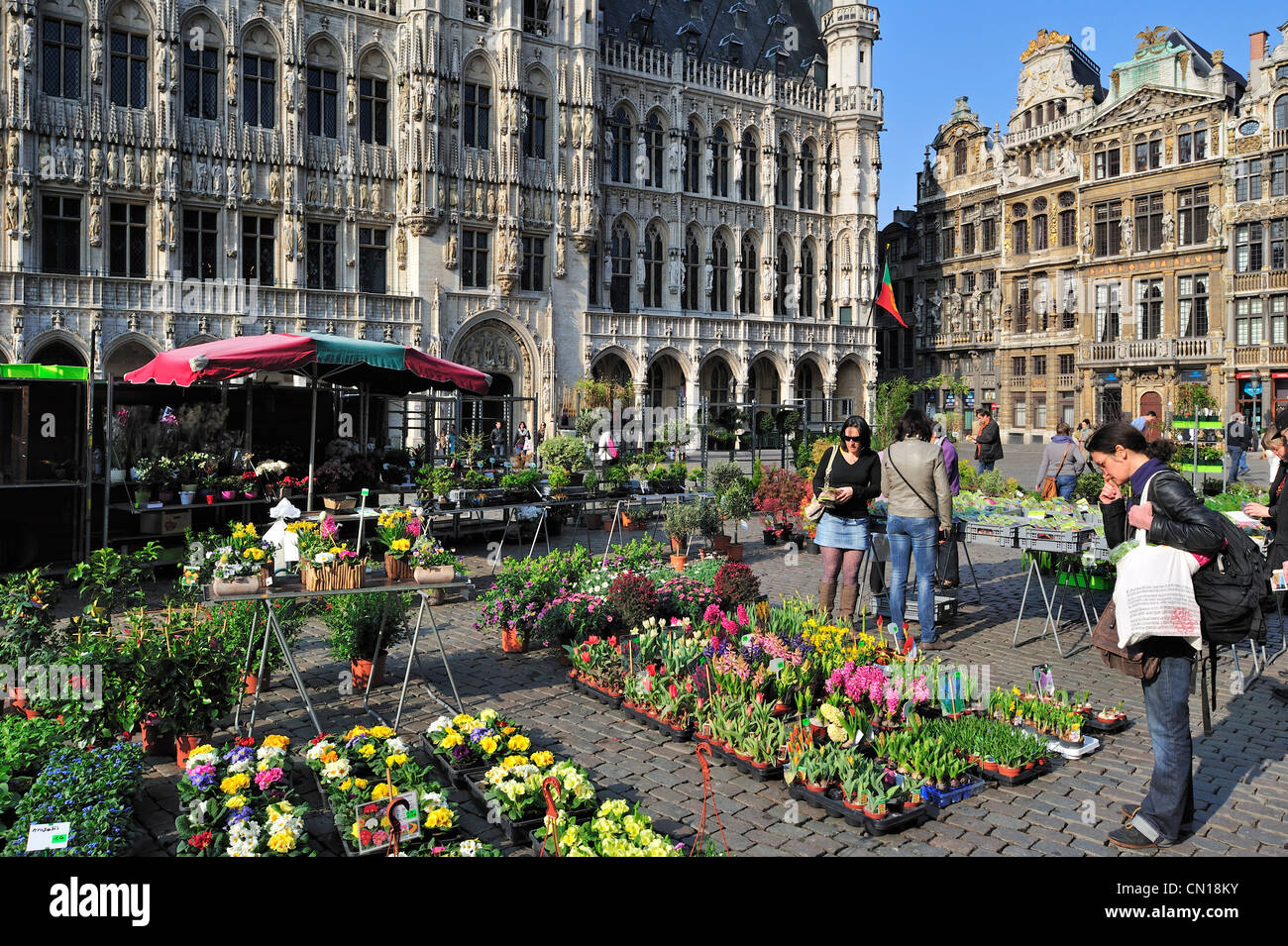 Blume Stand vor dem Brüsseler Rathaus am Grand Place / Grote Markt, Belgien Stockfoto