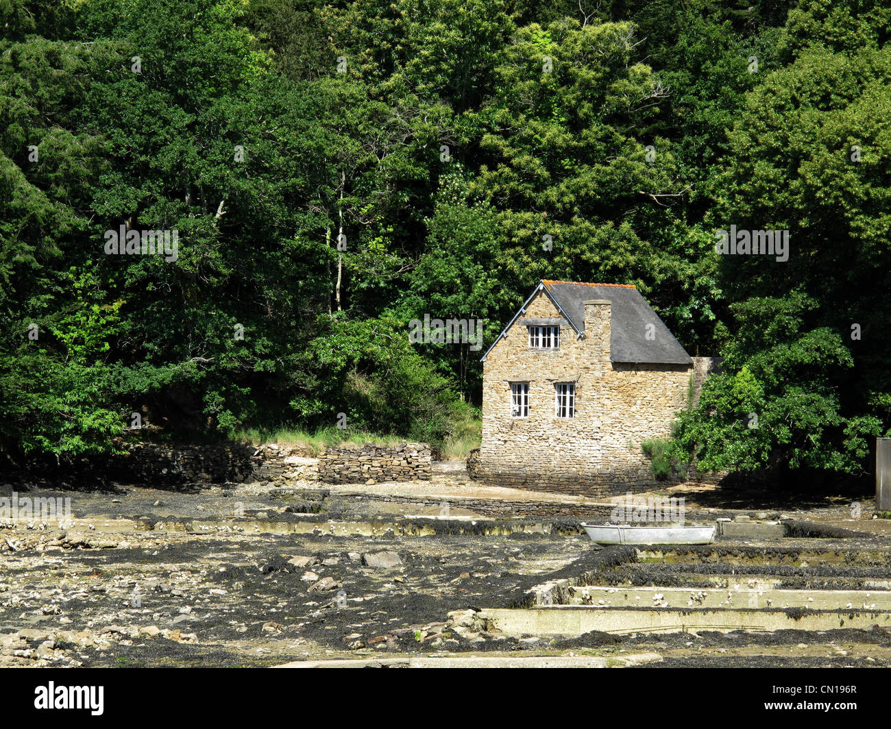 Riec-Sur-Belon, Belon Fluss, Finistere, Bretagne, Bretagne, Frankreich Oyster park Stockfoto
