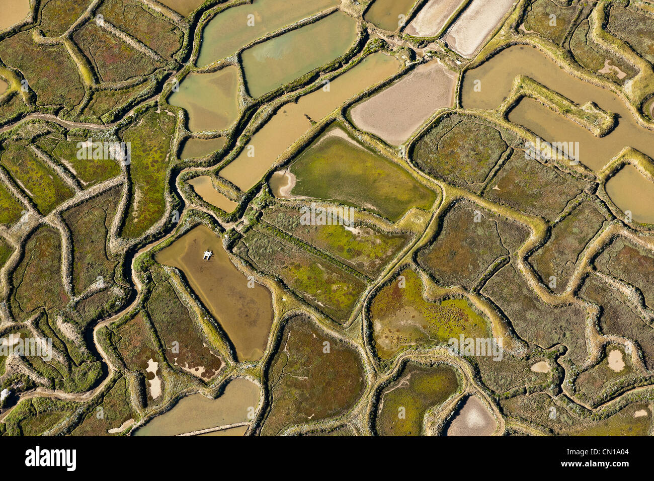 Frankreich, Charente Maritime, La Tremblade, Sümpfe (Luftbild) Stockfoto