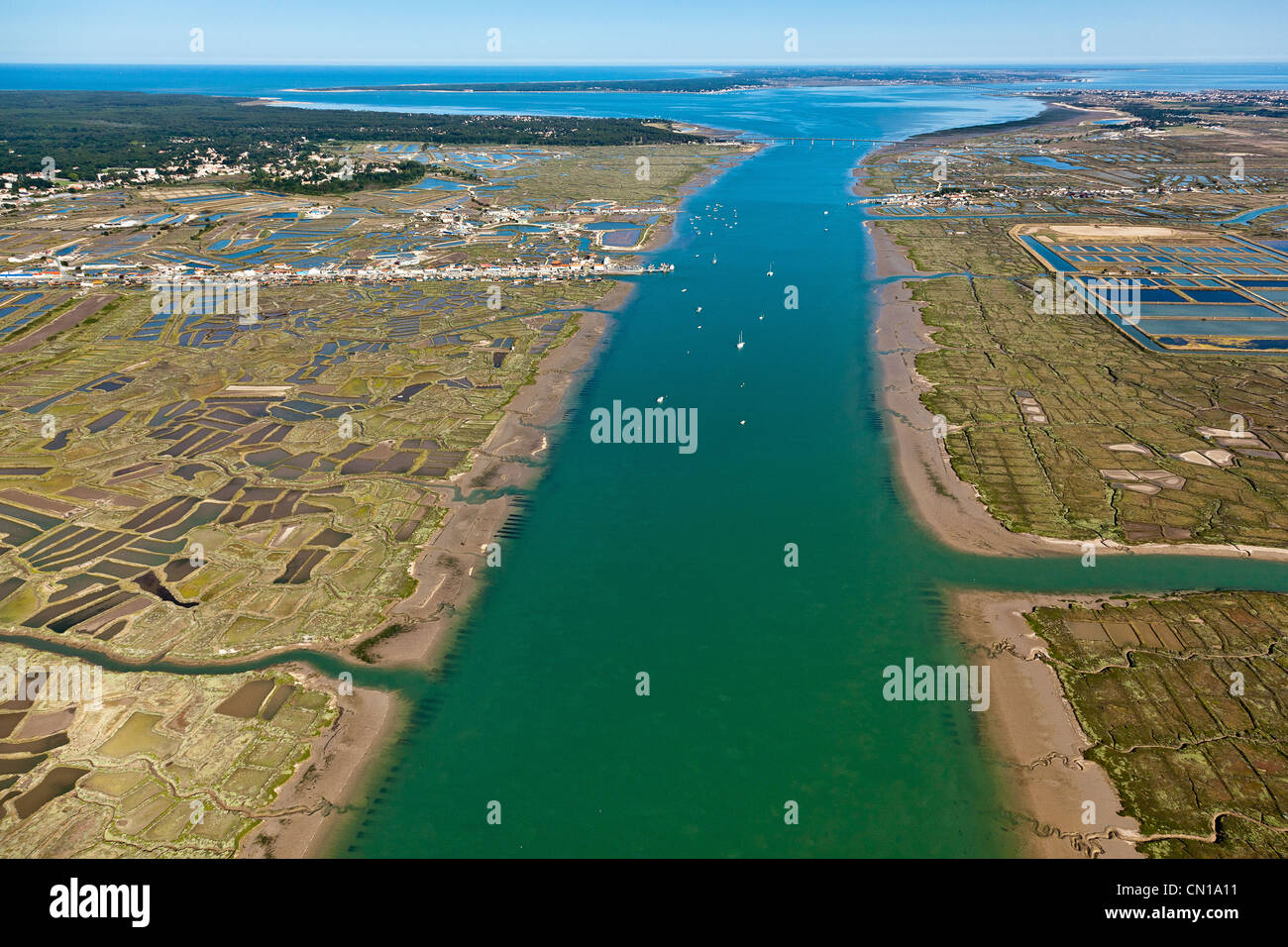 Frankreich, Charente Maritime, La Tremblade, Seudre Fluss und la Greve Auster Hafen (Luftbild) Stockfoto