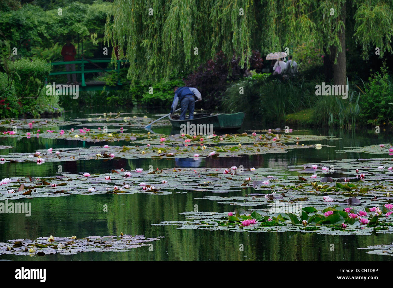 Frankreich, Eure, Giverny, Claude Monet Garten, le Jardin d ' Eau (Wassergarten) Stockfoto