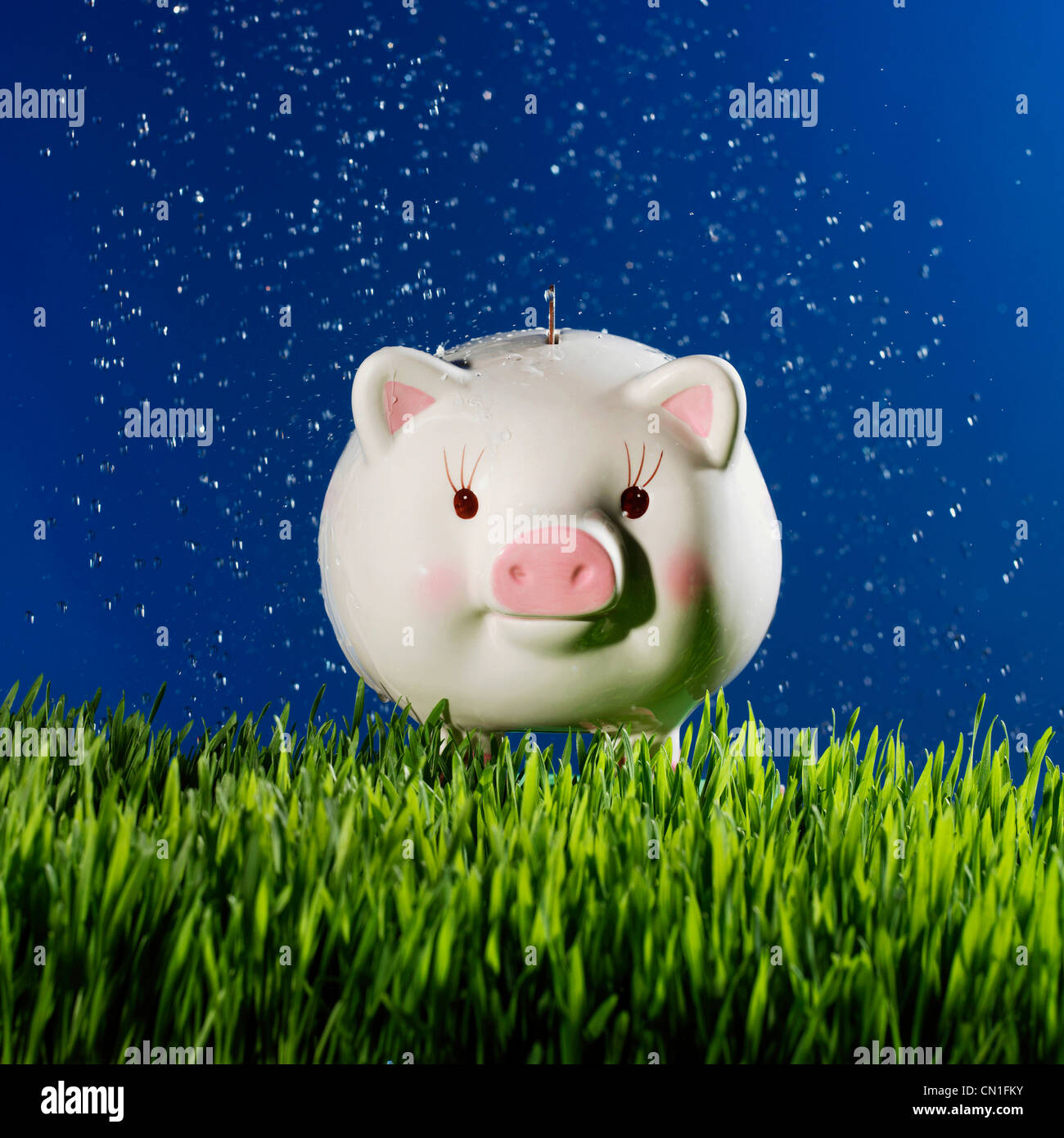 Wassertropfen auf Sparschwein auf Rasen Stockfoto