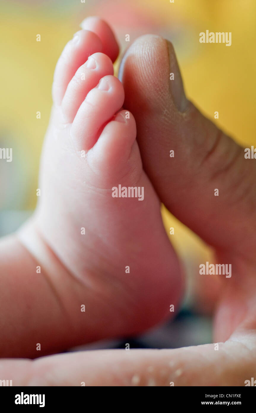 Baby-Zehen und Mannes Daumen Stockfoto
