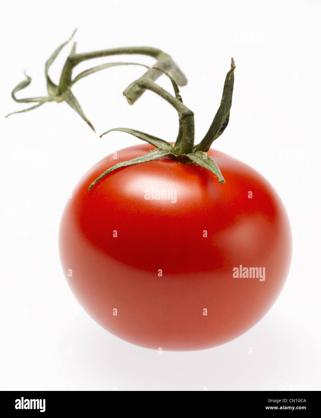 Ganz rote Cherry-Tomaten mit Stiel Stockfoto