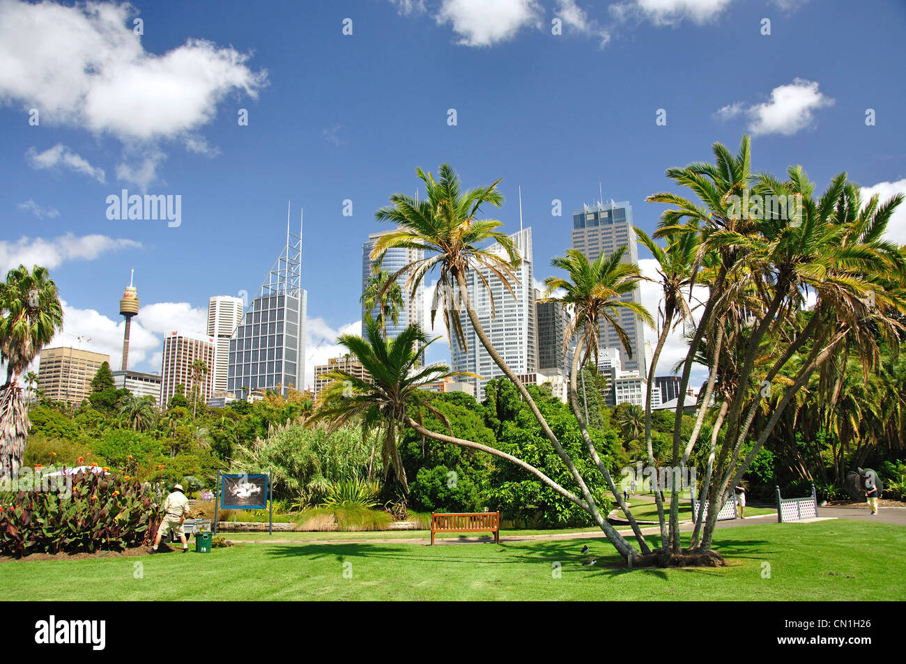 Central Business District von Royal Botanic Gardens, Sydney, New South Wales, Australien Stockfoto