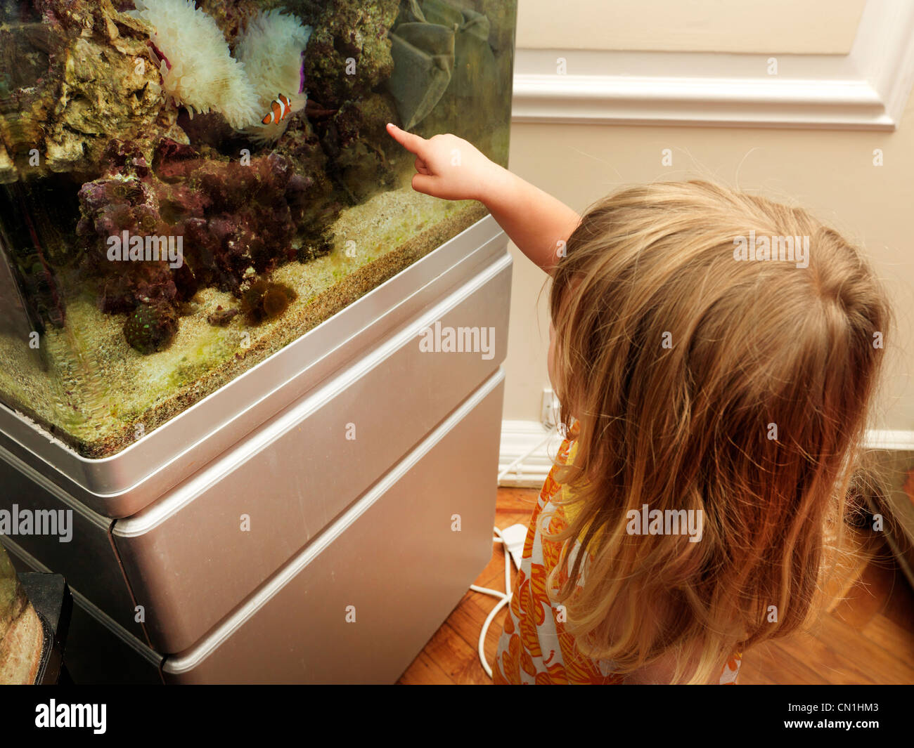 Junges Mädchen sucht einen Fisch In Salzwasser Aquarium zeigt auf Clownfische Stockfoto