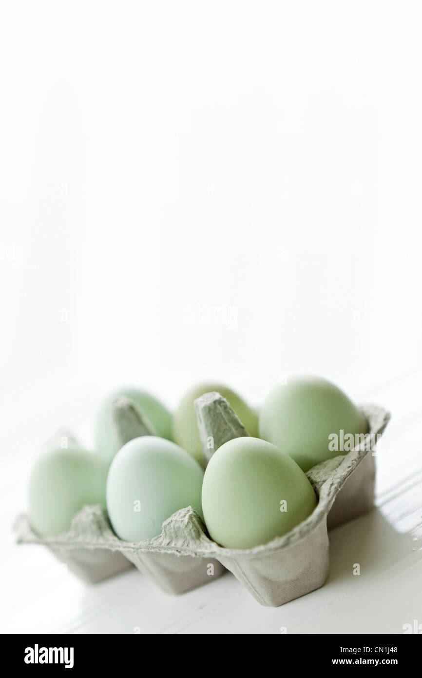 Sechs blauen Eiern im Karton Stockfoto