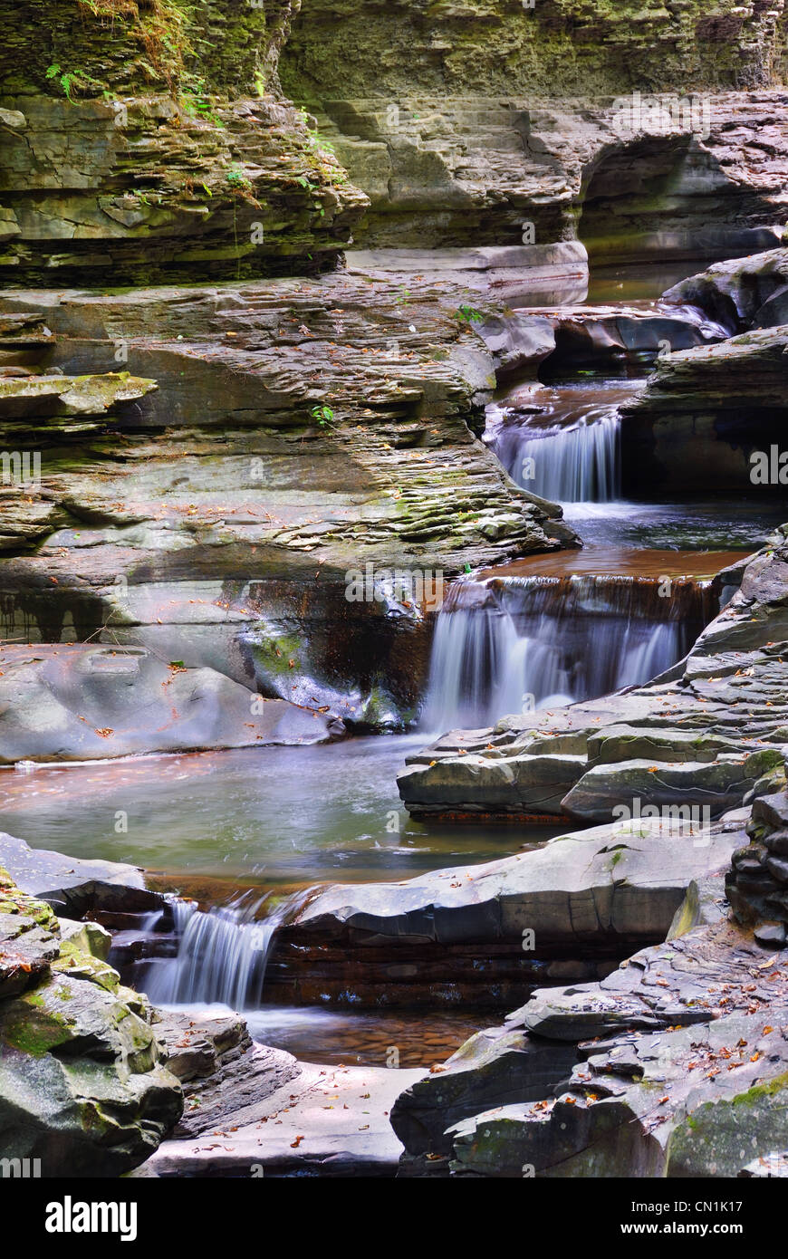 Wasserfall im Wald mit Felsen und Stream in Watkins Glen State Park im Bundesstaat New York Stockfoto
