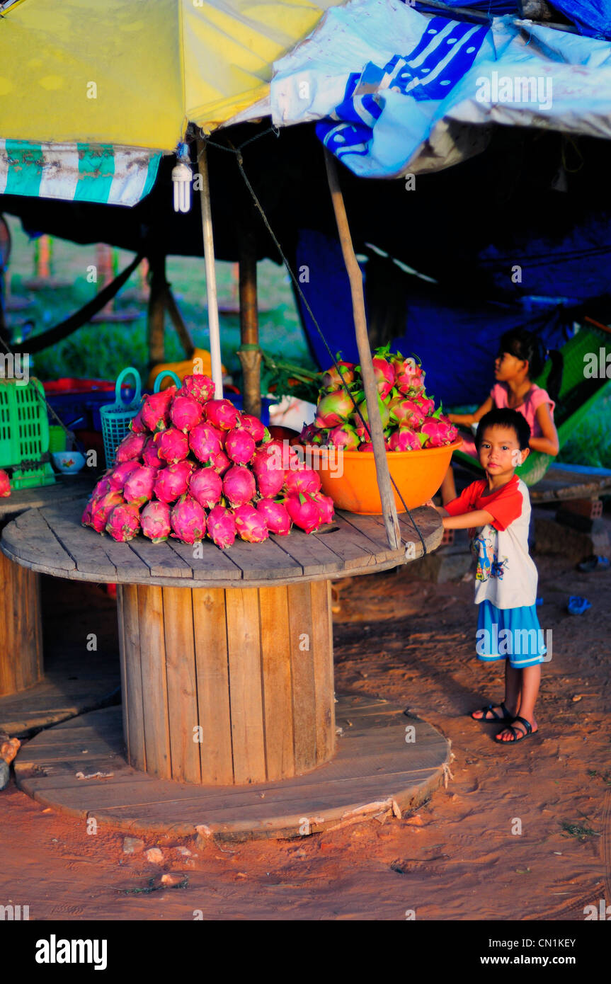 Drachenfrucht oder Pitaya verkauft am Straßenrand, Provinz Binh Thuan, Vietnam Stockfoto