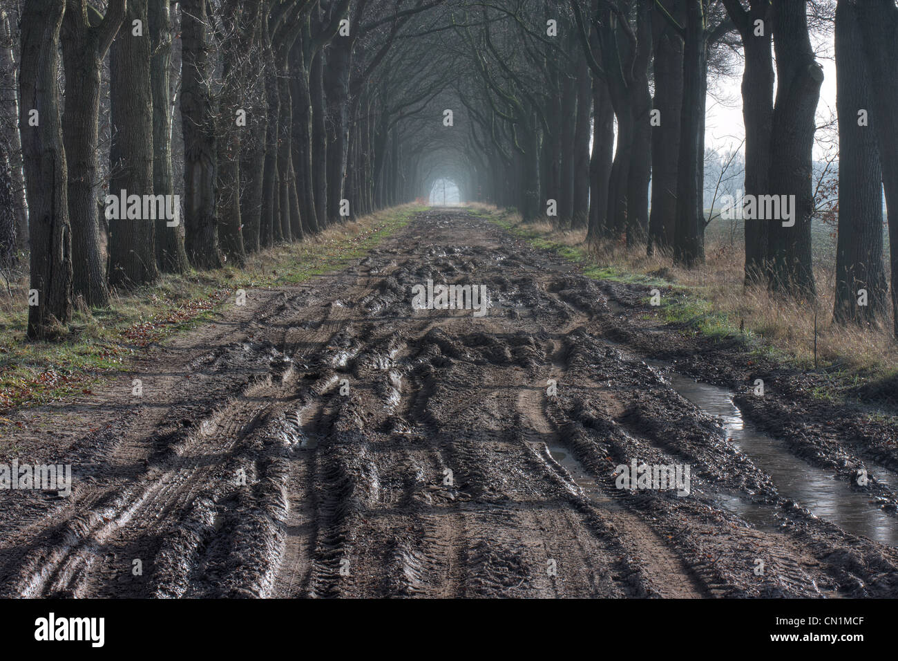 Schlechte Straßenverhältnisse: einen schlammigen Countryroad mit Auto verfolgt im Herbst. Stockfoto