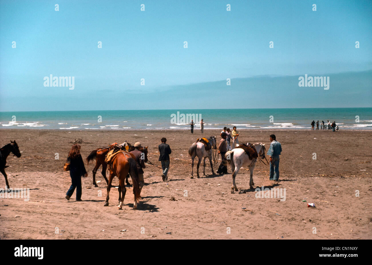 Kaspischen Meer Iran Menschen & Pferde am Strand Stockfoto