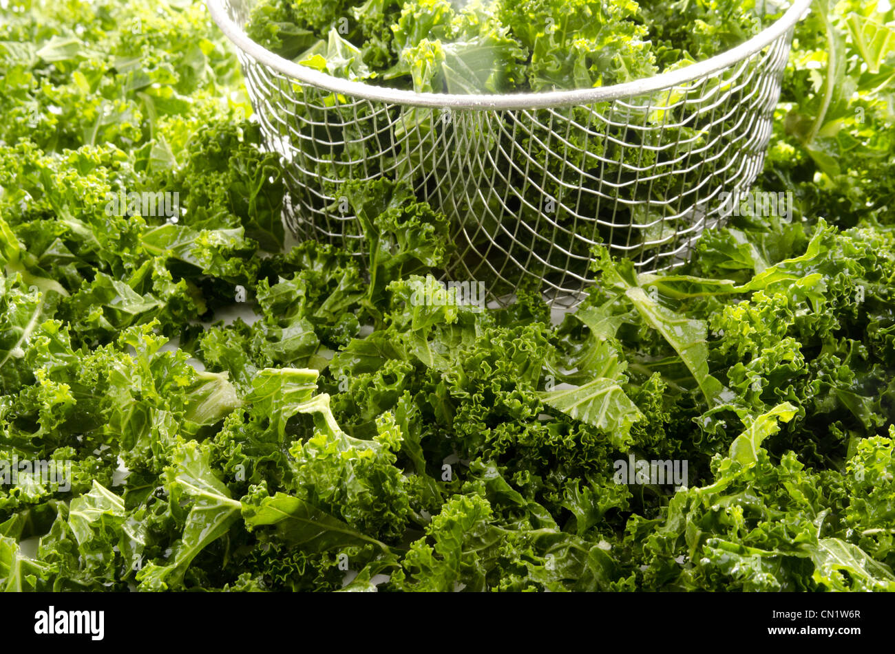 In einem Sieb gewaschen und in Scheiben geschnittenen Grünkohl Stockfoto