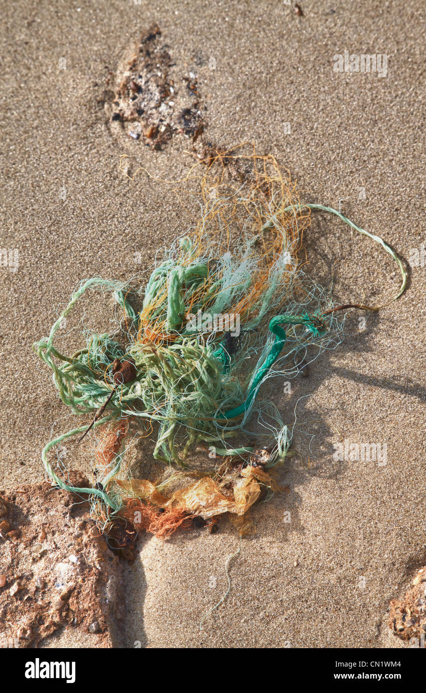 Strandgut am Strand Stockfoto