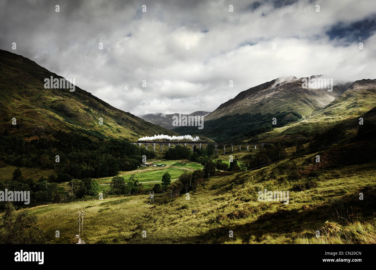 Dampfzug überqueren Glenfinnan-Viadukt, Schottland Stockfoto