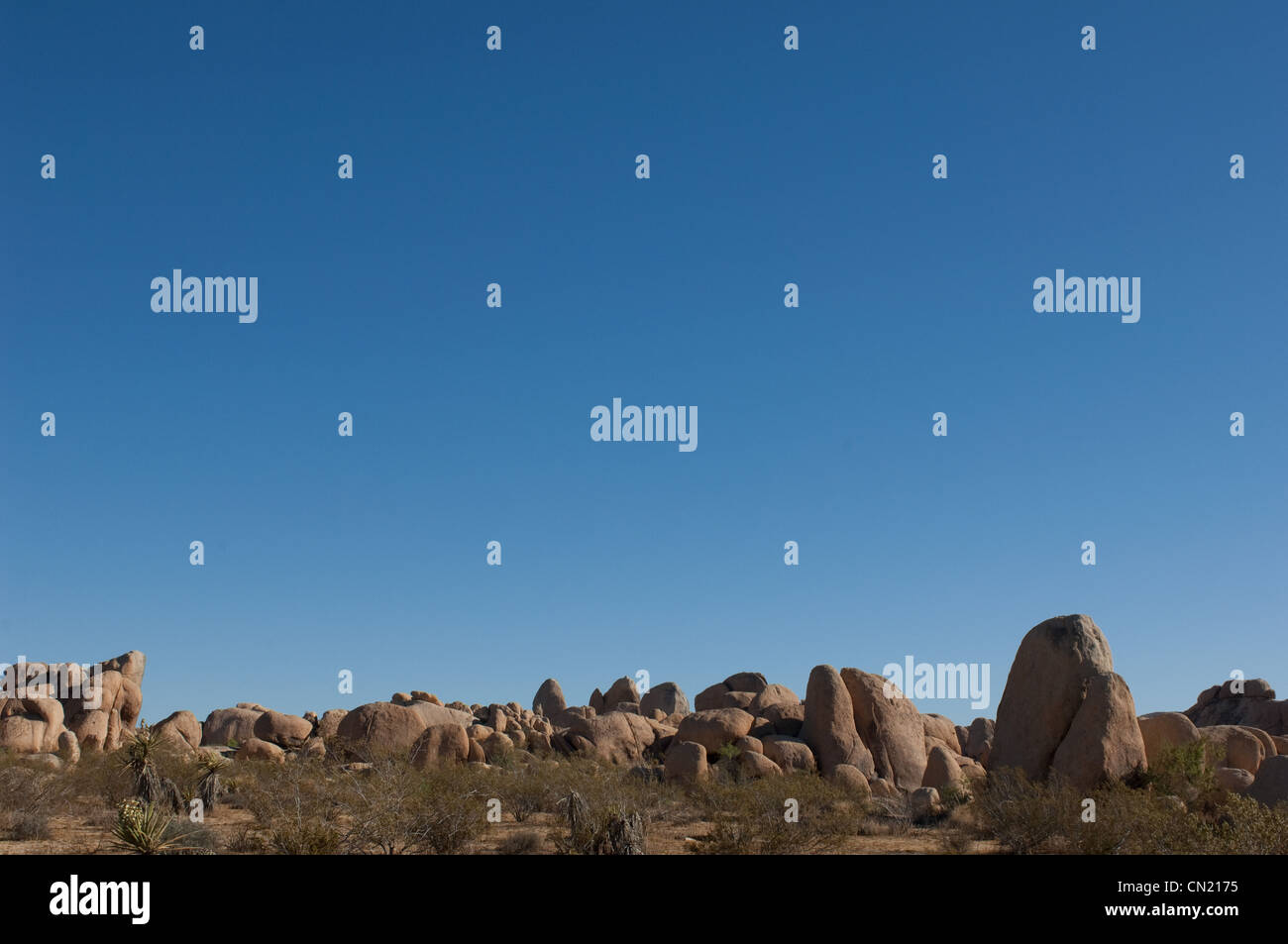 Rock-Formation, Joshua Tree Nationalpark, Mojave-Wüste, Kalifornien, USA Stockfoto