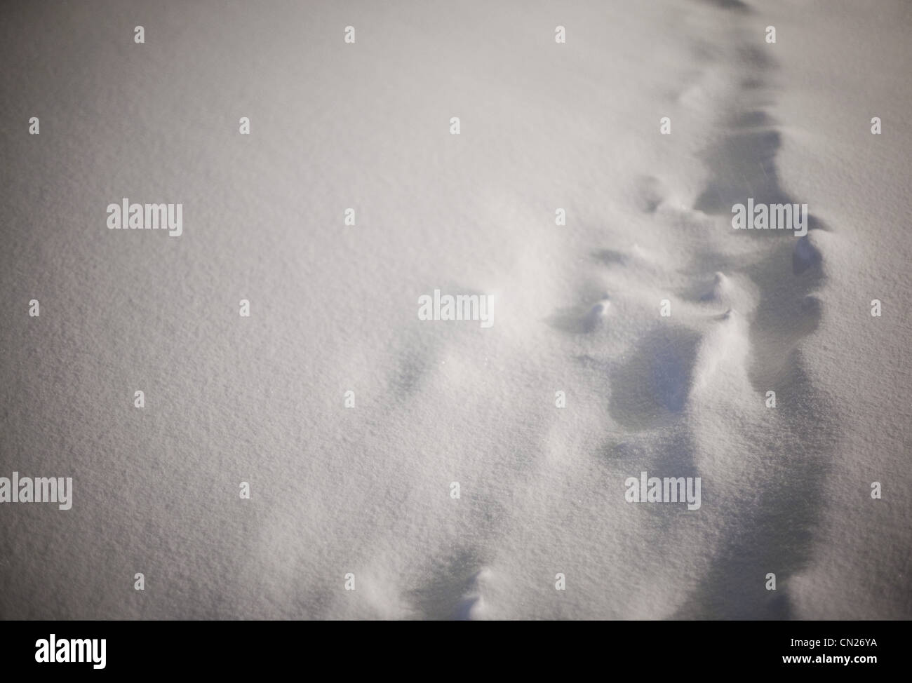 Fußspuren im Schnee Stockfoto