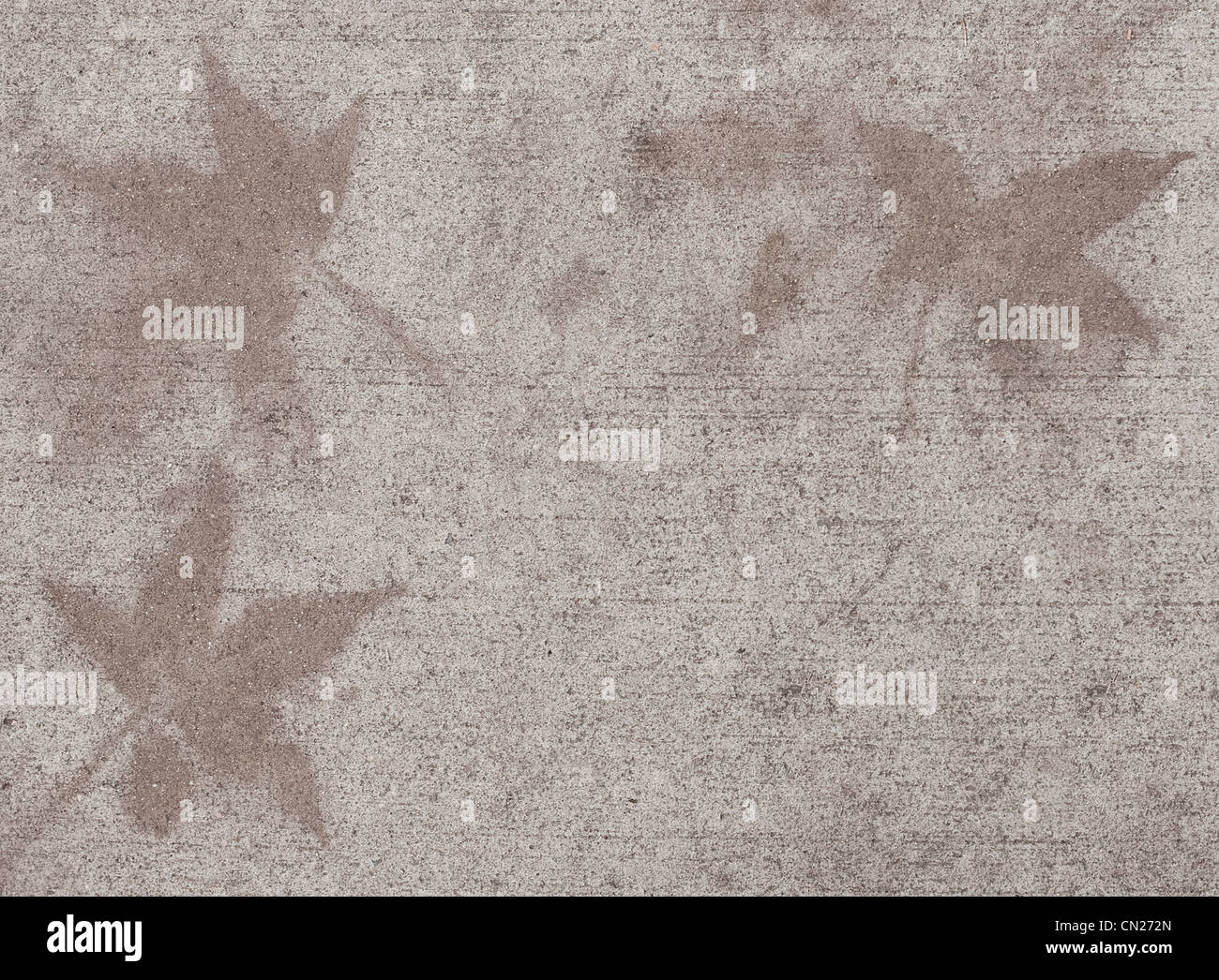 Blattformen auf Bürgersteig Stockfoto