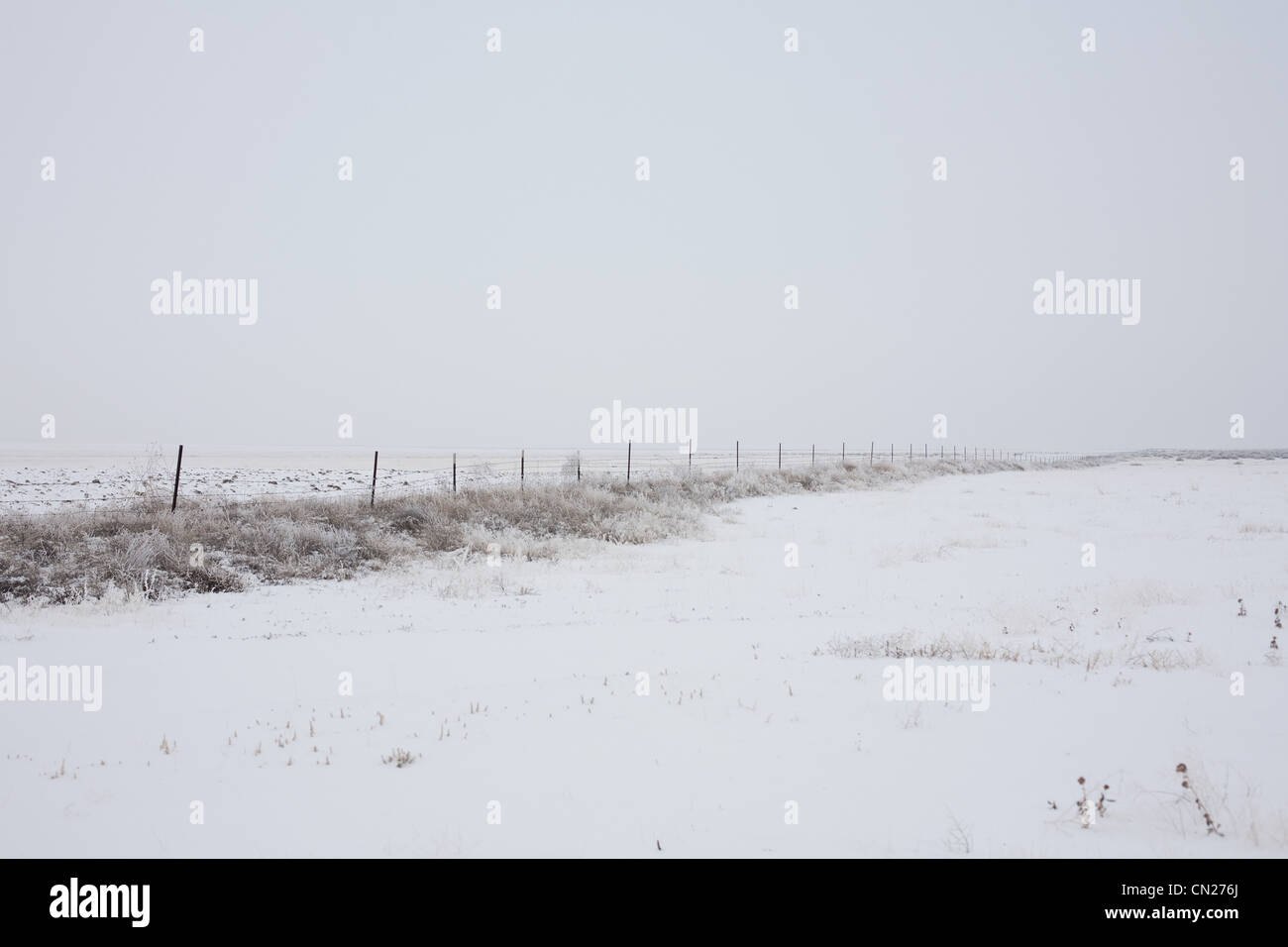 Feld und Zaun im Schnee Stockfoto