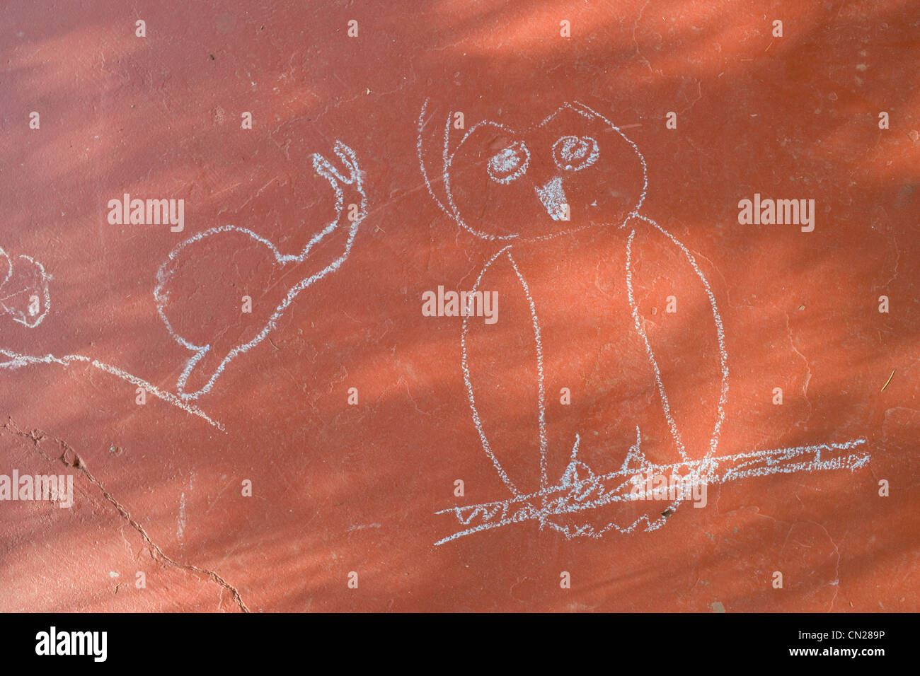 Kreidezeichnungen von Eule und Schnecke Stockfoto