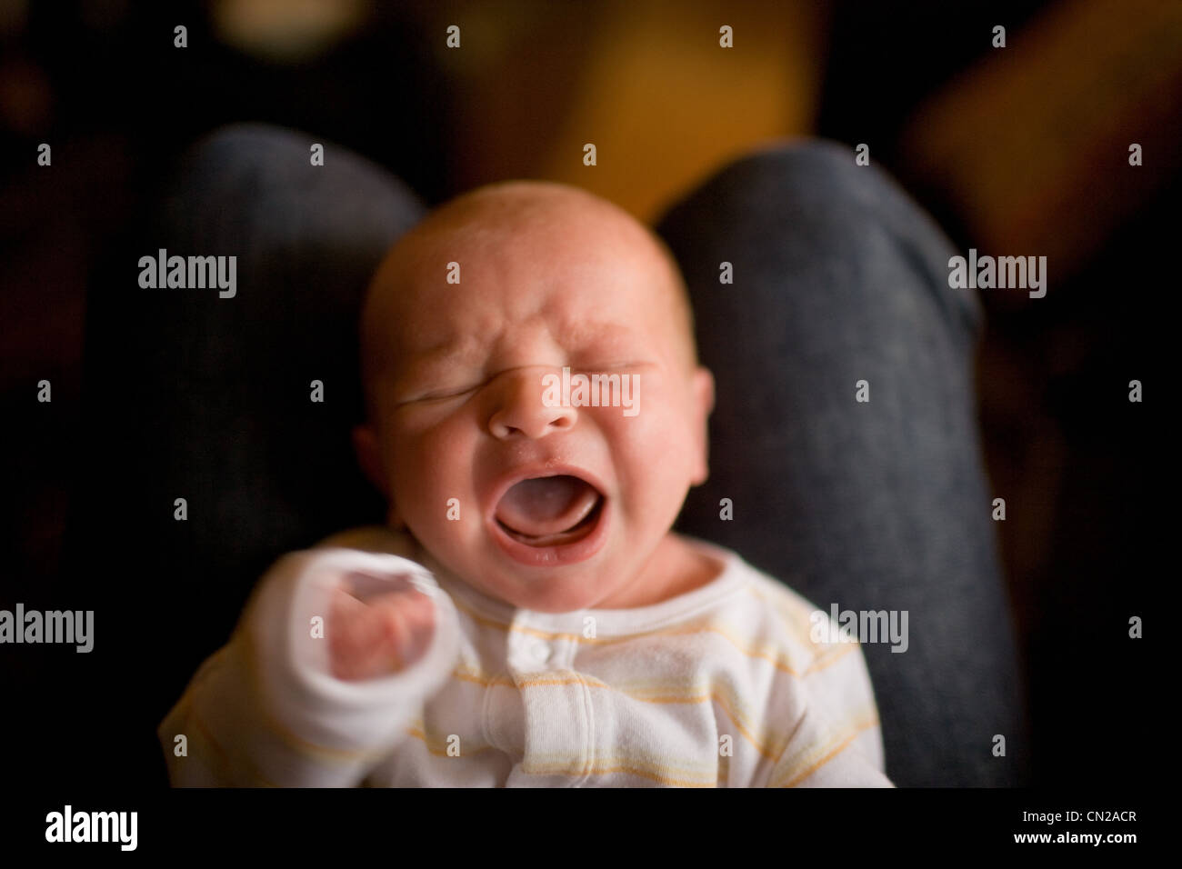 Neugeborenes Baby junge weinend auf dem Schoß der Eltern Stockfoto