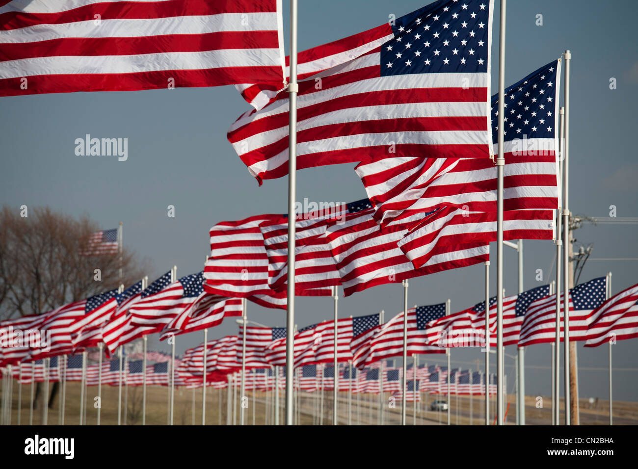 Amerikanische Flaggen zu Ehren der Kriegsveteranen im ländlichen Iowa angezeigt Stockfoto