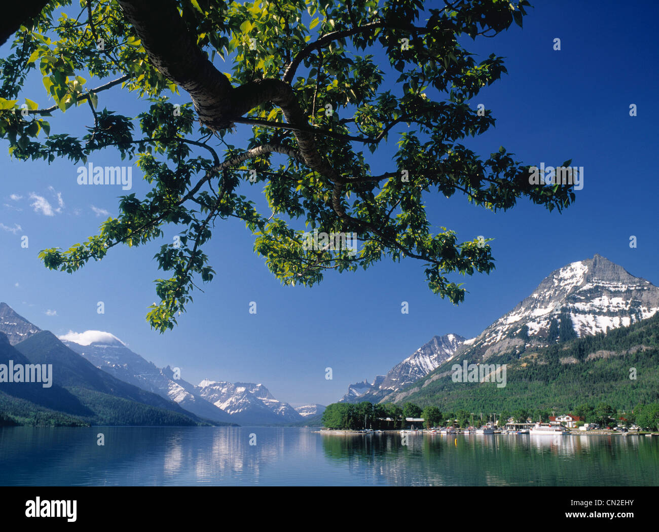 Waterton Lakes Nationalpark, Alberta, Kanada Stockfoto