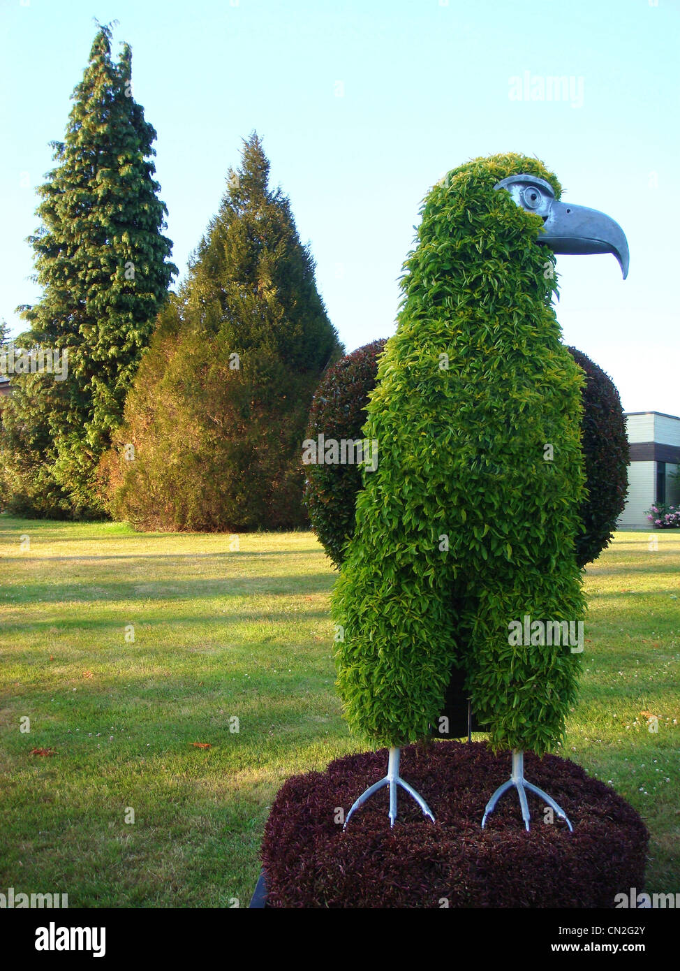 Großer Vogel-Symbol stach im Garten Stockfoto