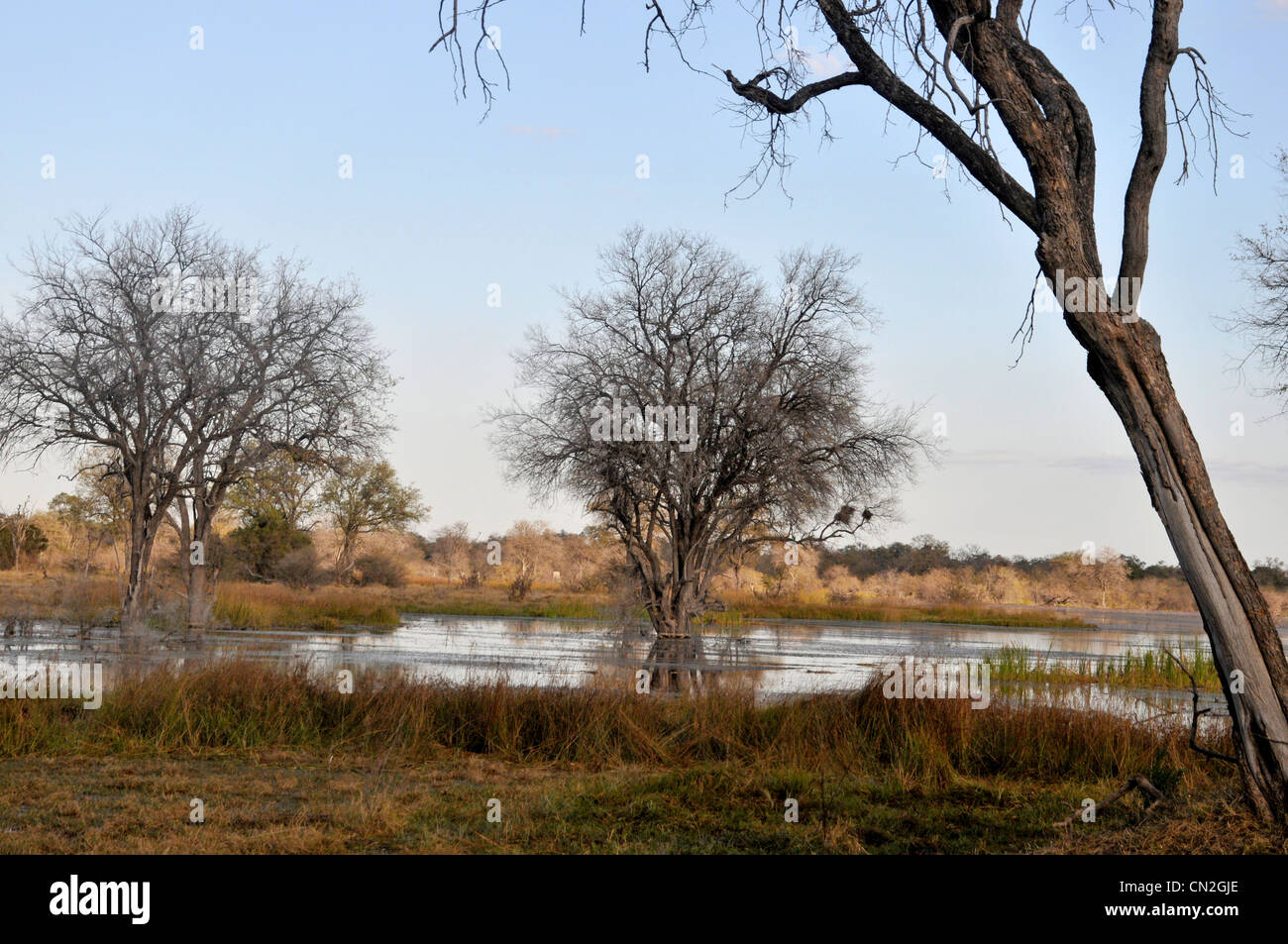 Botswana Okavango Fluss Viktoriafälle Stockfoto