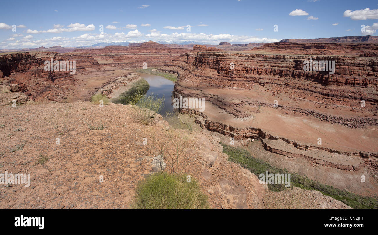 Roten Felsen und Canyons, Moab, Utah, USA Stockfoto