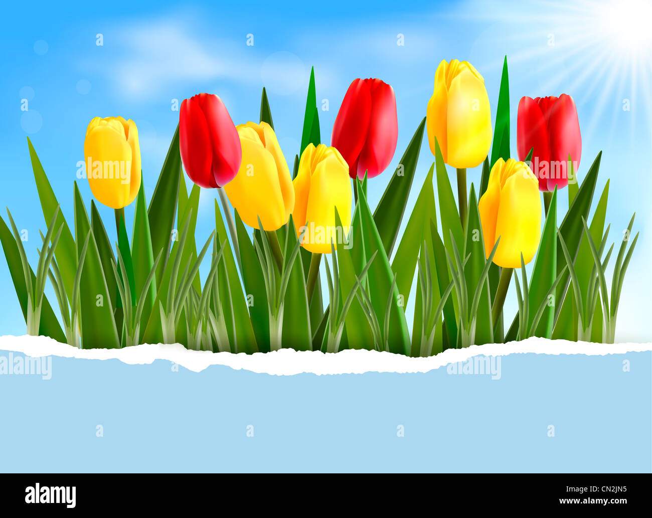 Natur-Hintergrund mit Frühlingsblumen und zerrissenes Papier illustration Stockfoto