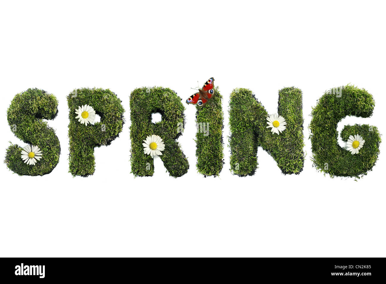 Frühling-Wort gebildet von Moss mit Blumen und Schmetterling, isoliert auf weiss Stockfoto