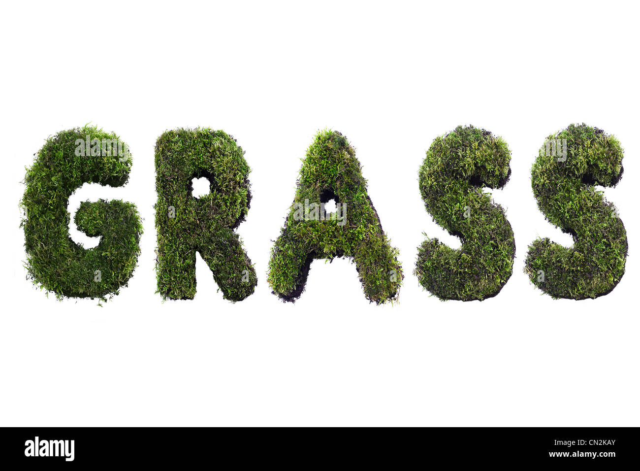 Grass Wort gebildet von Moss isoliert auf weiss Stockfoto