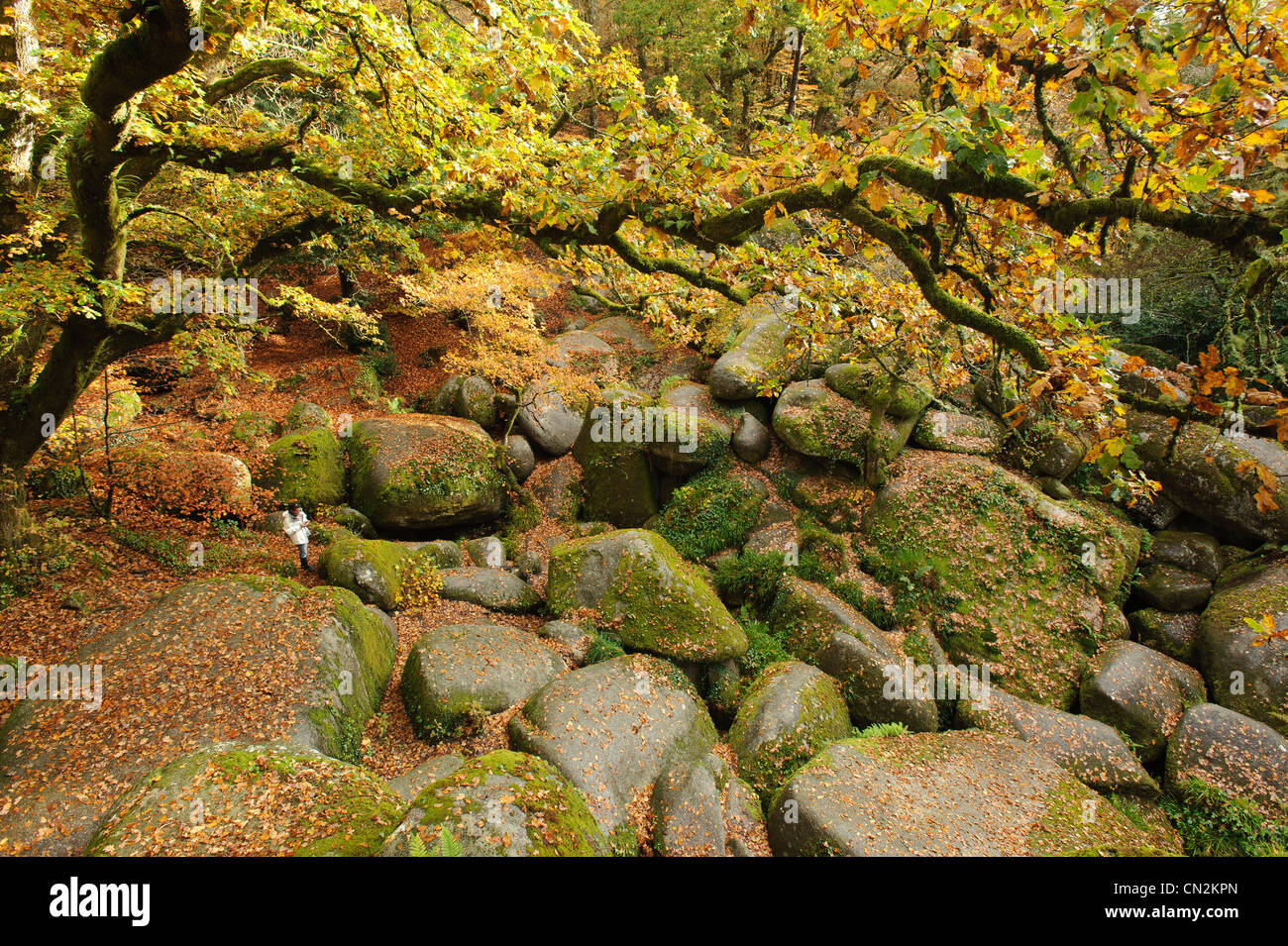 Frankreich, Finistere, Parc Naturel Regional d'Armorique (Armorique Naturpark), Huelgoat, Granit Chaos von der Stockfoto