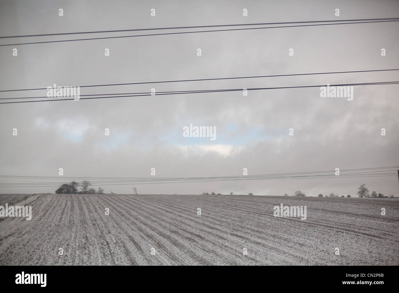 Feld im Schnee Stockfoto